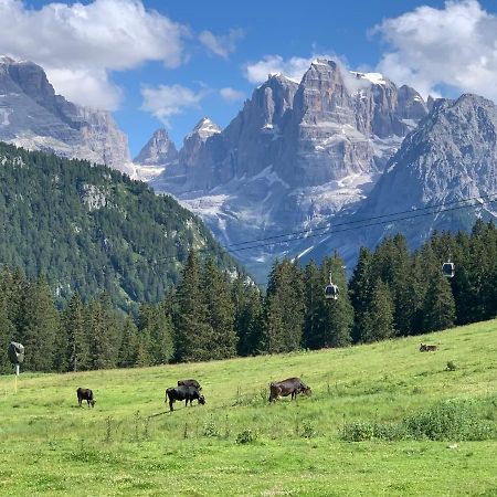 Appartamento Des Alpes C Flat 11 Madonna Esterno foto