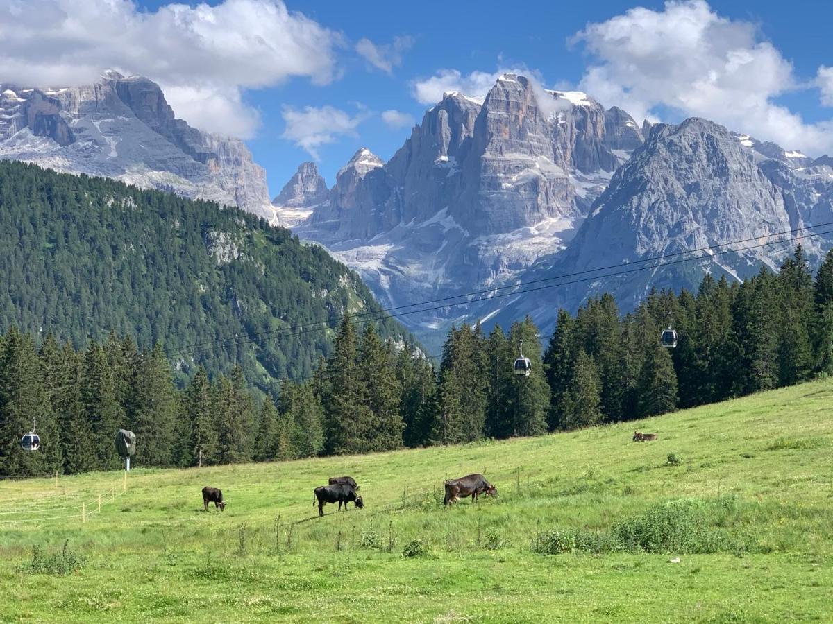 Appartamento Des Alpes C Flat 11 Madonna Esterno foto